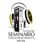 La voz del seminario virtual logo