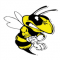 Mad Wasp Radio logo