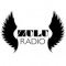 Zulu Radio logo