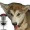 Malamute Radio logo