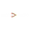 MCN Radio logo