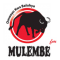 Mulembe FM logo