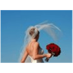 myRadio.ua Ukrainske Vesillya logo