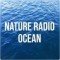 NATURE RADIO OCEAN logo