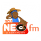 NEO FM logo