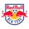 New York Red Bulls (ENGLISH) logo