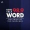 News/Talk 989 WORD logo