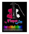 NispetFm logo