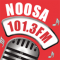 Noosa 101.3 FM logo