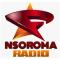 Nsoroma Radio logo