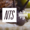 NTS Field Recordings logo