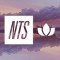 NTS Slow Focus logo