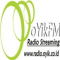 oYik FM logo