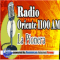 ORIENTE 1100 logo