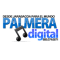 Palmera Digital logo