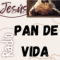 PAN DE VIDA logo