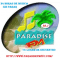 PARADISE FM 88.7 logo