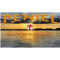 Peniel  M.I. Radio logo
