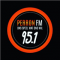 Perron FM 95.1 logo