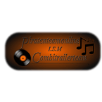 PiratenTeamOverijssel logo