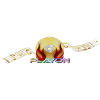 Playon logo