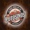 Potosinos Radio Online logo