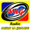 Presse Gonavienne logo