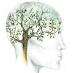 PsychiatrosOnlineRadio logo