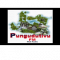 Pungudutivufm logo