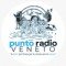 Puntoradioveneto logo