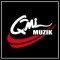 QMI Muzik logo