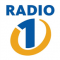 Radio 1 Litija logo