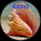 Radio Africa 1804 logo