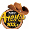 RADIO ARENA FM logo