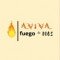 Radio Aviva Fuego De Dios logo