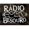Rádio Besouro logo