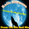 Radio Bluemoon logo