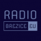 Radio Brezice Eu logo