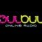 Radio Bulbul logo