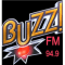RADIO BUZZ FM logo