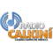 Radio Calkiní logo