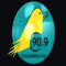 Radio Canarinho FM Jales Paranapua Sao Paulo 909 logo
