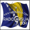 Radio Carsija logo