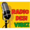 Radio Desi Vibez logo