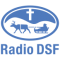Radio DSF logo