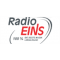 Radio EINS logo
