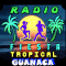 Radio Fiesta tropical Guanaca logo