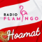 Radio Flamingo Hoamat logo