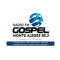 Rádio FM Gospel (Monte Alegre) logo