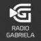 Radio gabriela fm 981 logo